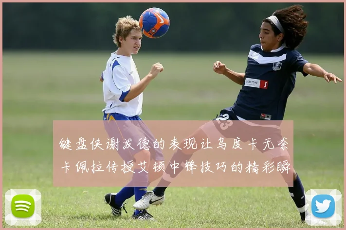 键盘侠谢泼德的表现让乌度卡无奈卡佩拉传授艾顿中锋技巧的精彩瞬间