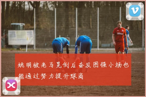 姚明被老马晃倒后奋发图强小杨也能通过努力提升球商